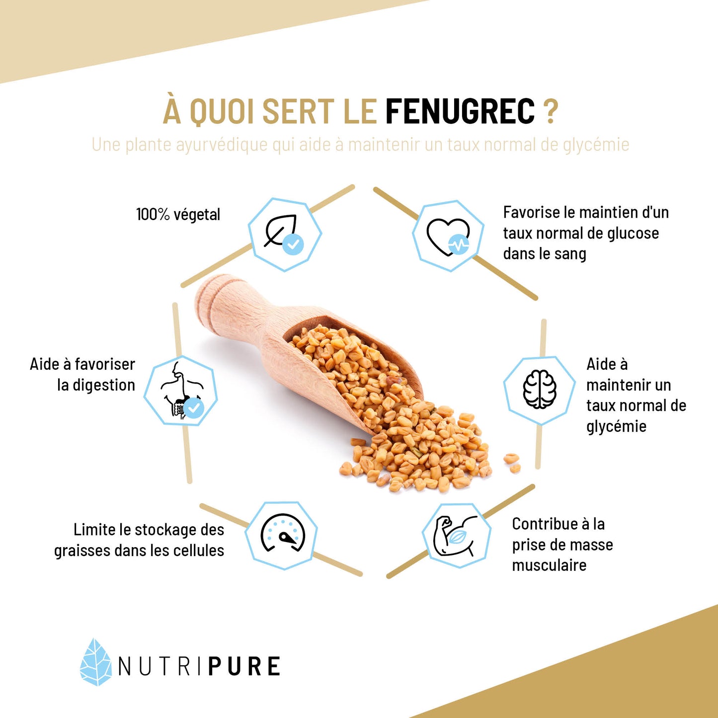 Fenugrec - Nutripure