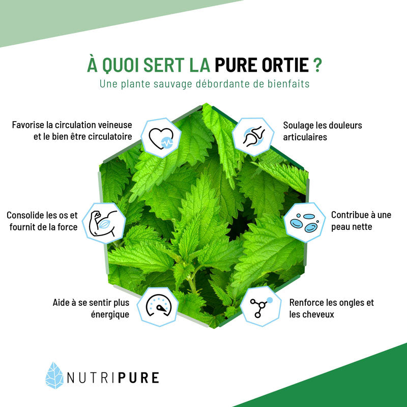 Feuilles d'ortie bio en poudre-Nutripure